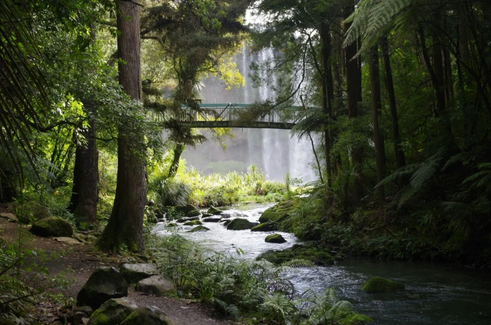 A metal footbridge crossing a stream in a lush forest with a waterfall